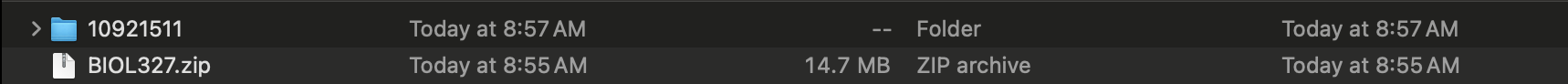 Downloaded project after unzipping.